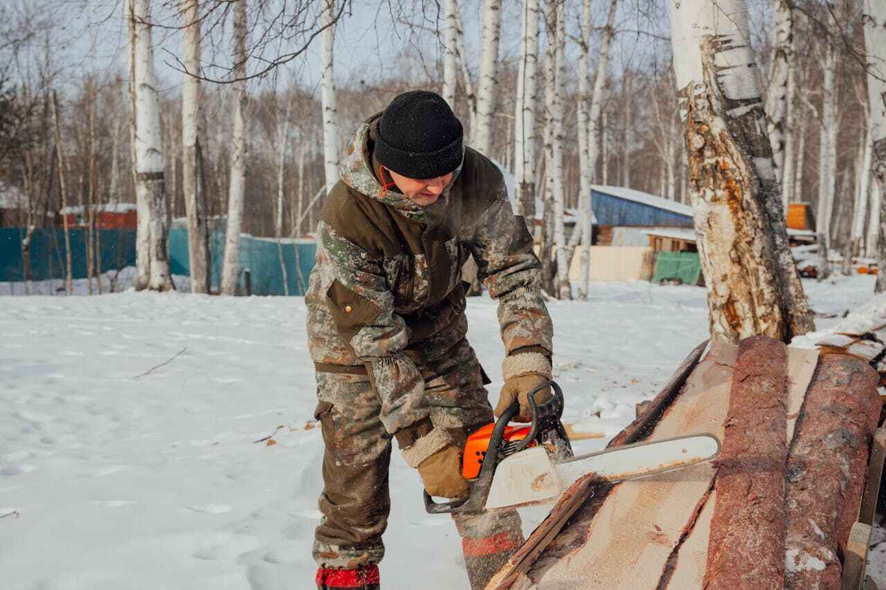 Large Tree Removal in Carlyss, LA